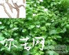 微信小程序开发公司