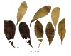 微信小程序开发公司