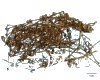 微信小程序开发公司
