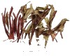 微信小程序开发公司