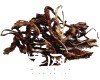 微信小程序开发公司