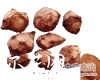 微信小程序开发公司