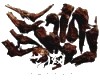 中药大全