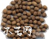中药大全
