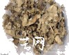 中药大全