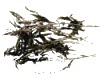 中药大全 - 益母草
