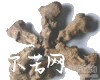 中药大全