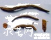 中药大全