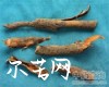榔榆皮图片