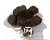 中药大全