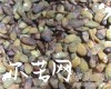 中药大全