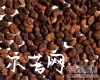 中药大全
