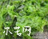 中药大全
