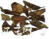 微信小程序开发公司