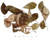 微信小程序开发公司