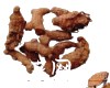 中药大全