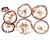 中药大全