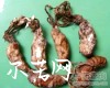 中药大全