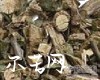 汉桃叶别名