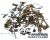 别名