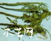 微信小程序开发公司
