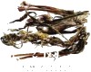别名