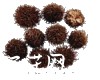 微信小程序开发公司