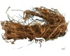 微信小程序开发公司
