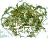 微信小程序开发公司