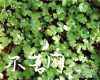 别名