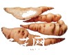中药大全