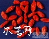 中药大全