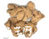 中药大全