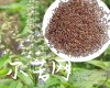 中药大全
