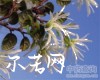 微信小程序开发公司