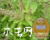 中药大全