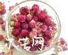 千日红别名