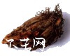 中药大全