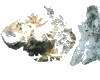微信小程序开发公司