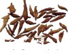微信小程序开发公司