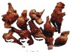中药大全