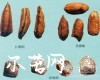 微信小程序开发公司