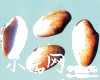 微信小程序开发公司