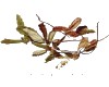 微信小程序开发公司