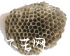 微信小程序开发公司