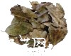 微信小程序开发公司