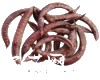 中药大全