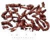 别名
