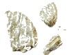 微信小程序开发公司