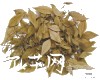 微信小程序开发公司